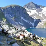 Le Taillon Gavarnie